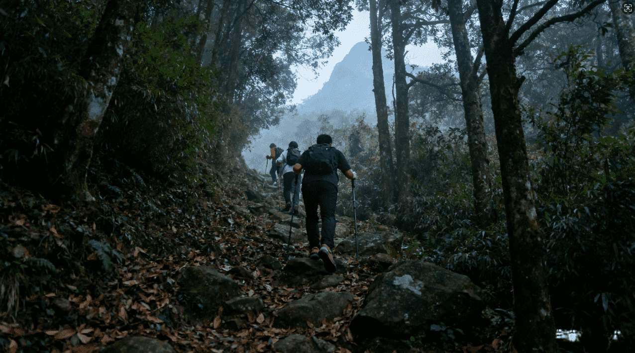 破解版网络加速器详细使用指南